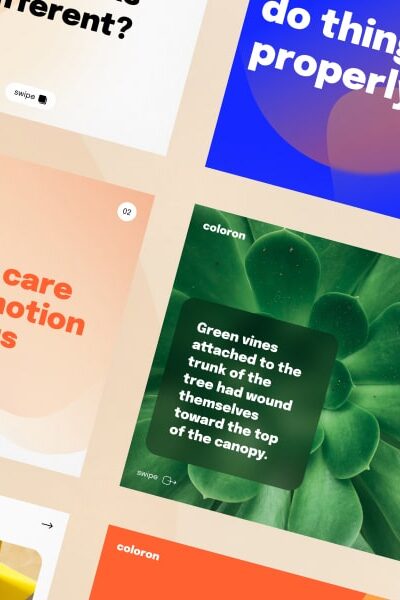 w-developer-product-3-min